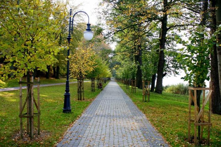 Spa Apartamenty Lidzbark Lidzbark Welski Zewnętrze zdjęcie